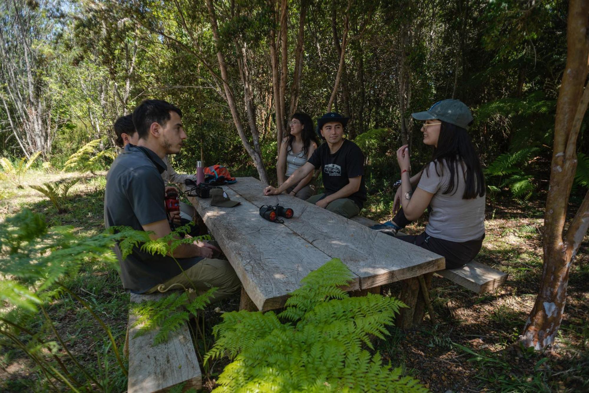 Lodge Parque Tepuhueico 카스트로 외부 사진